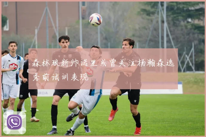 森林狼新帅诺里或曾关注杨瀚森选秀前试训表现