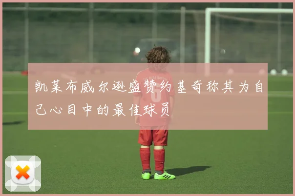 凯莱布威尔逊盛赞约基奇称其为自己心目中的最佳球员